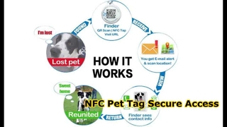 Thẻ vật nuôi bằng nhựa epoxy RFID